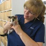 Barbara Jubrey, Veterinary Assistant